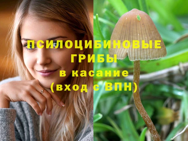 ALPHA PVP Богородск