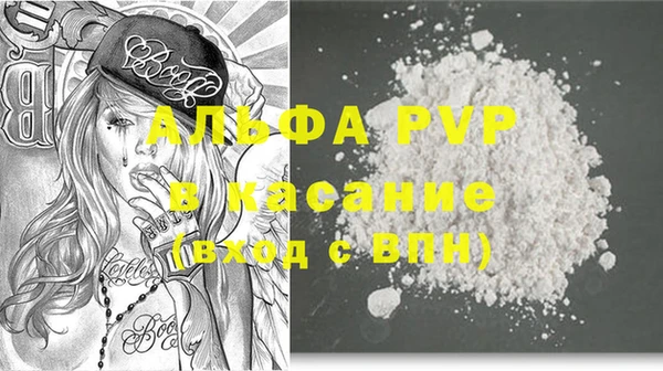 ECSTASY Богородицк