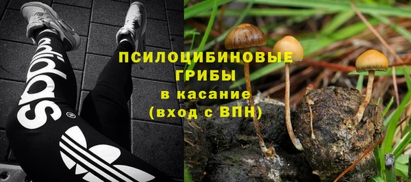 ECSTASY Богородицк