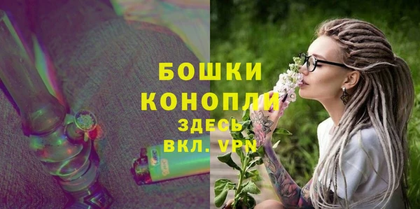 ECSTASY Богородицк