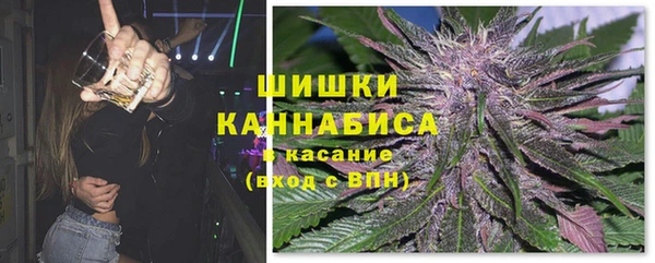 ECSTASY Богородицк