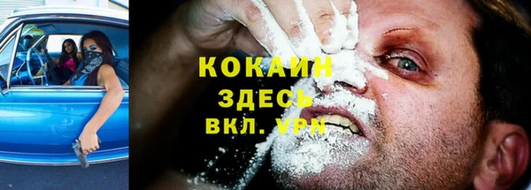 не бодяженный Богданович