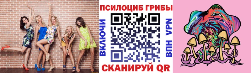 Галлюциногенные грибы Psilocybe  Купить где  Воткинск 